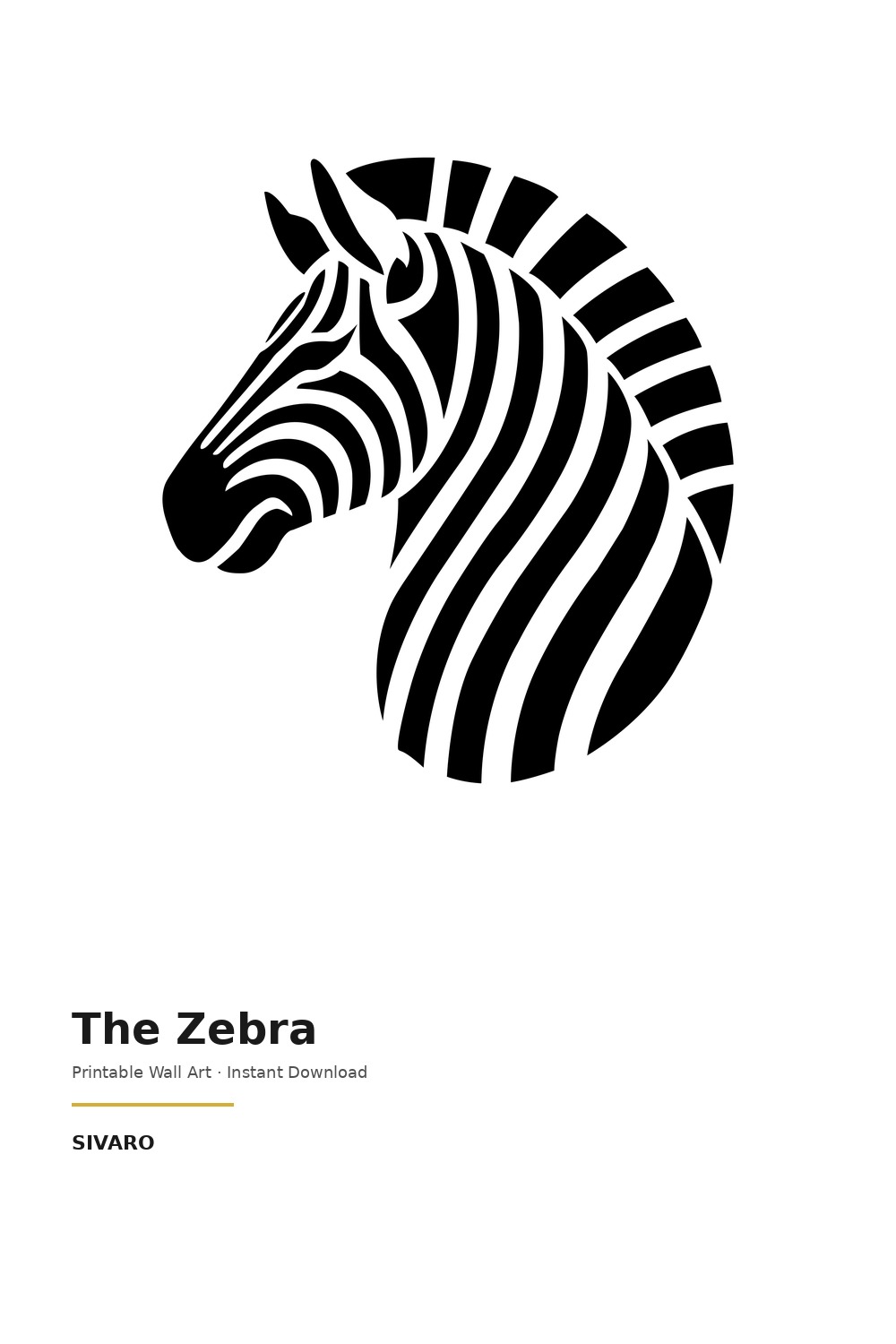 The Zebra